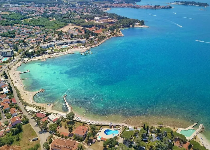 Sea Star With Stunning Sea View
