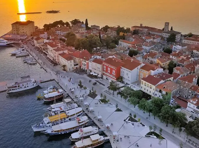 Sea Star With Stunning Sea View