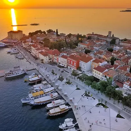 Sea Star With Stunning Sea View